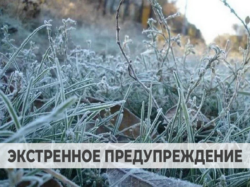 Экстренное предупреждение.