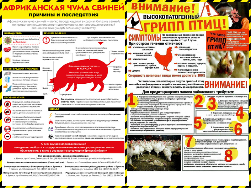 Проведение месячника по обеспечению биологической защиты объектов животноводства «Без АЧС и ВГП».