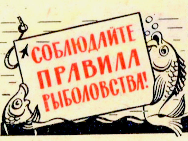 На водоемах Брянской области вводятся ограничения на рыбную ловлю.