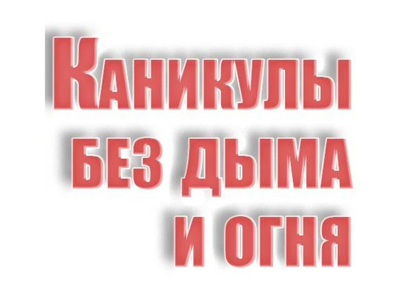 ОНДПР по Жуковскому муниципальному округу проведены профилактические мероприятия.
